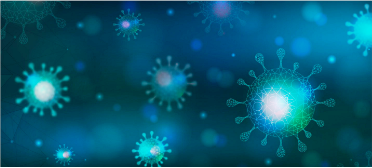 Imagem ilustrativa Bacterias